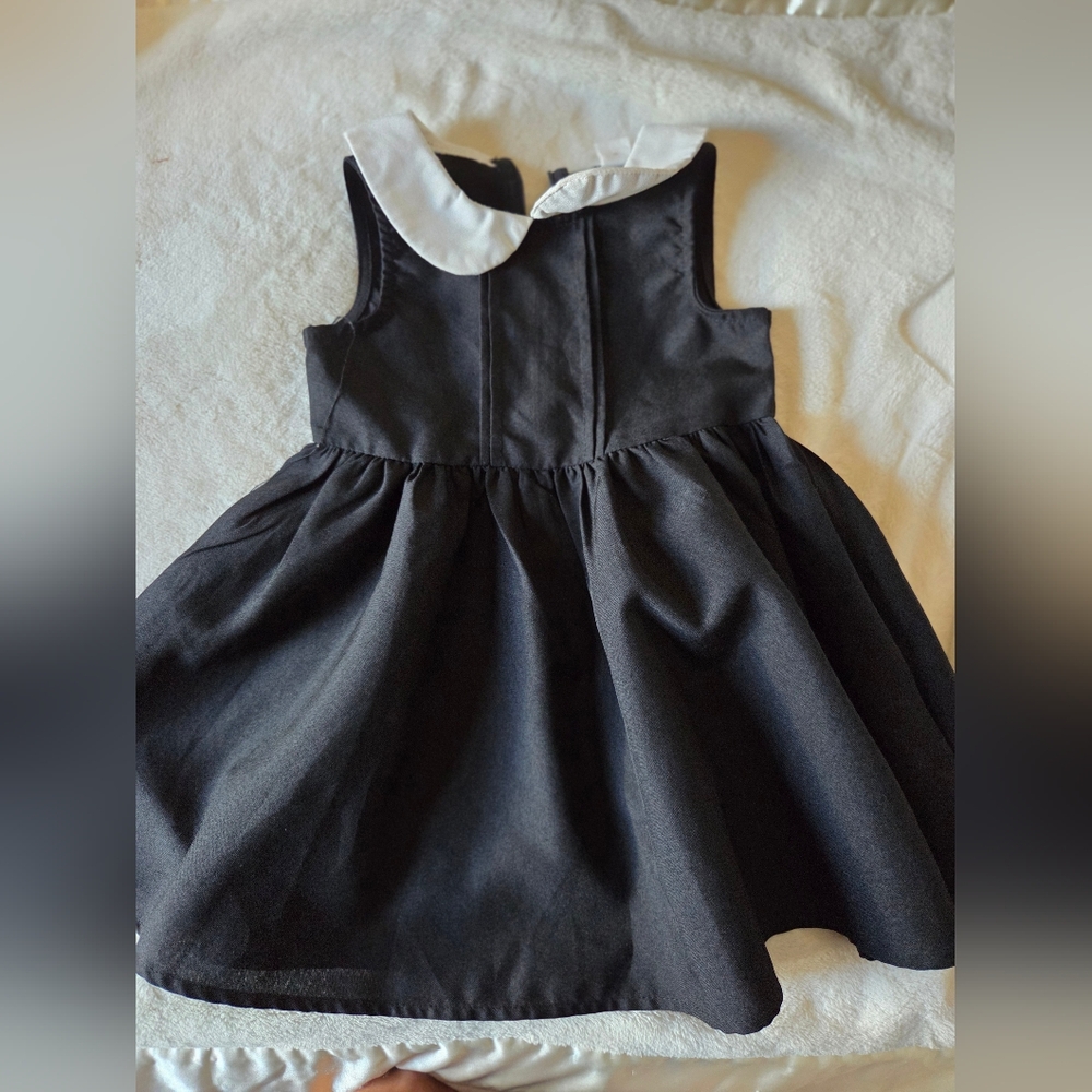 SHEIN Elegant Black Dress with White Collar